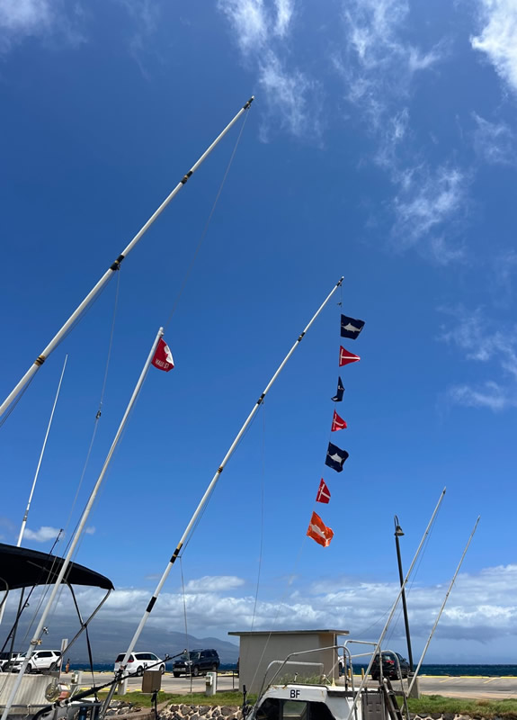 Wahine flags