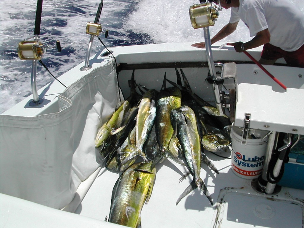 maui-fishing-excursion-service