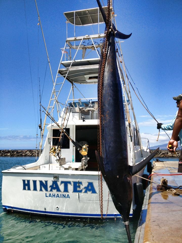 maui-marlin-fishing-tour